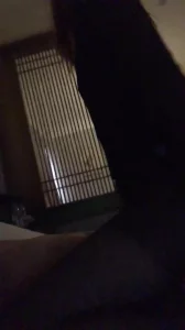 骚妻和单男的最新活动，