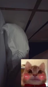 叫的真让人想射