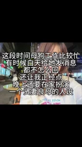 银行母狗人妻就是行走的肉便器太骚了