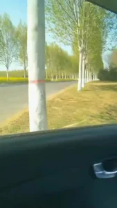 姐姐初冬的口爱