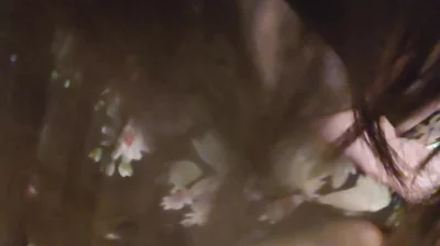 夫妻 自拍  认证贴，欢迎交流